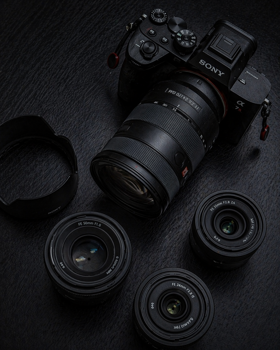 Professional photo shooting